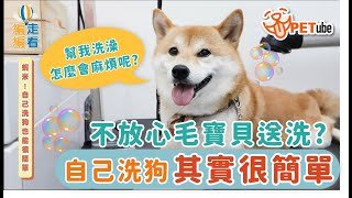 【#哈寵PETube】 第137集 蝦米!自己洗狗也能很簡單
