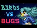 STARBOUND | Birds vs. Bugs