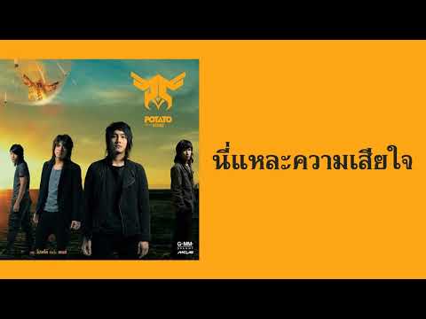 the POTATO - นี่แหละความเสียใจ  (พ.ศ.2550)