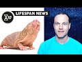 Lifespanio launches lifespan news
