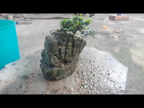 Video LOẠI ĐÁ GHÉP CÂY VÀ TIỂU CẢNH RẤT ĐẸP. - youtube