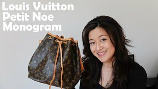 LOUIS VUITTON PETIT NOE - 1 Year Review & Update, Would I Still Buy? 