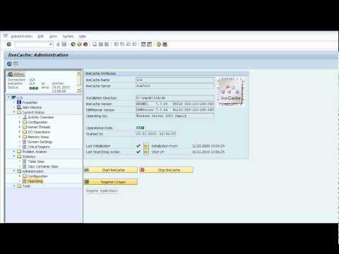 SAP APO Video Live Cache