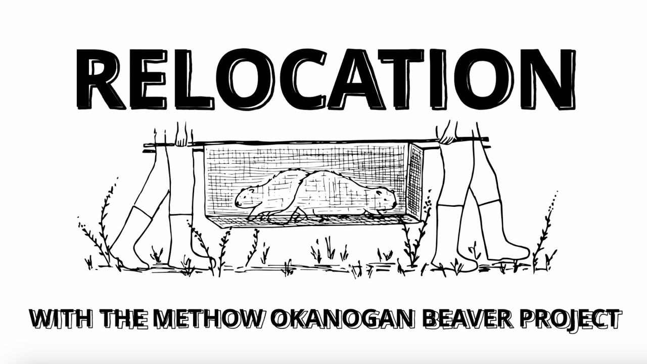 Give Methow - Relocation