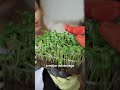 why don't your plants thrive?