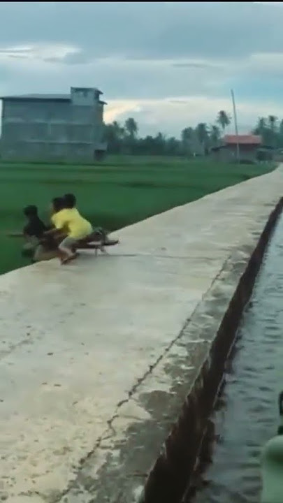 Tenang le, tenang le, Semangat#shorts #lucu #meme