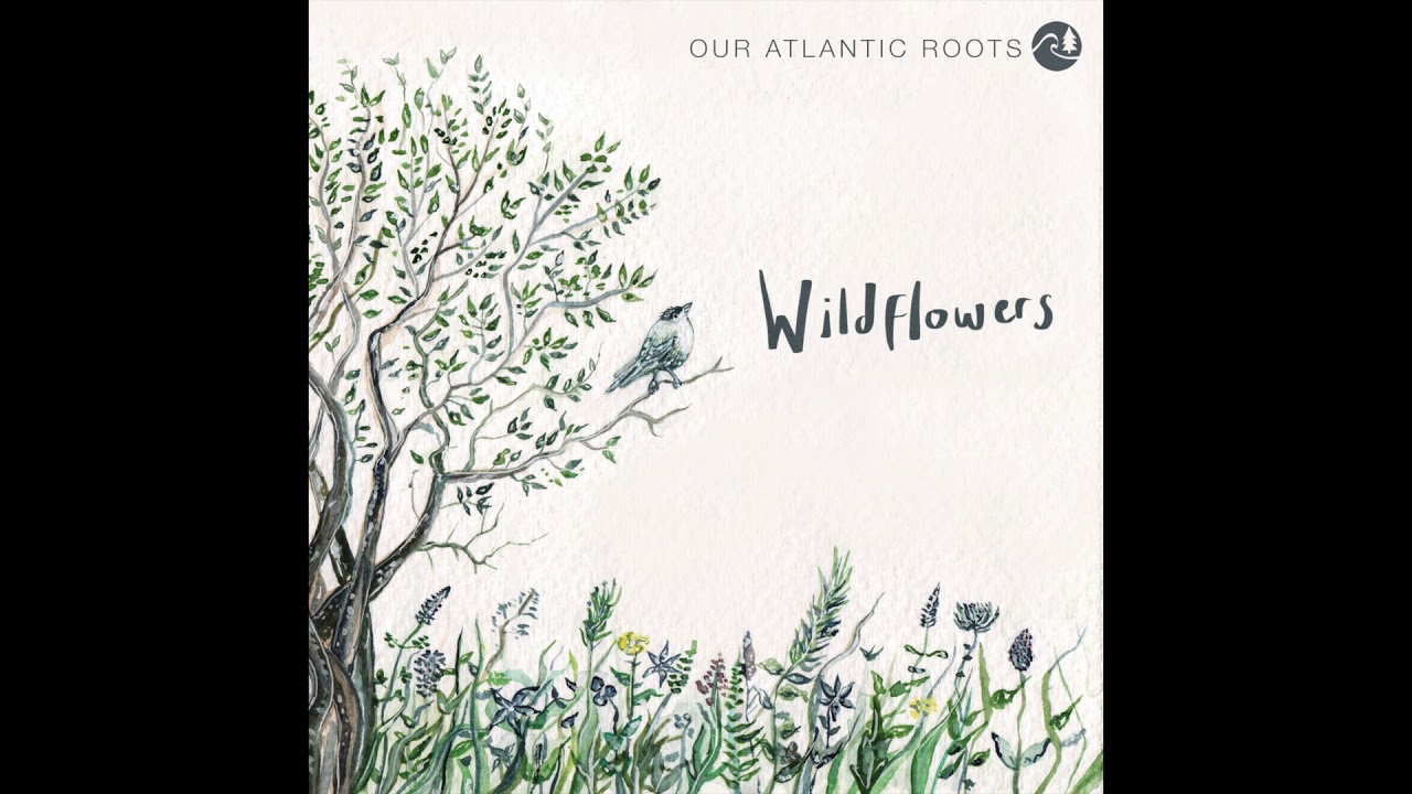 Wildflowers Our Atlantic Roots YouTube