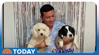 Dog Appears to Defuse Dynamite Thrown Near Journalist’s Home