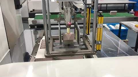 Automatic Paper Hang Tags Stripping Machine