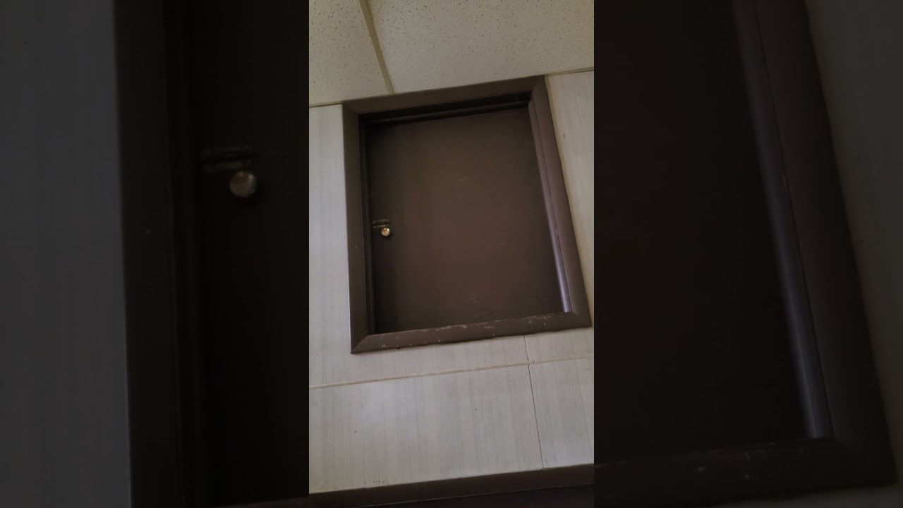 Паранормальная активность на встрече сторонников паранормальных явлений?