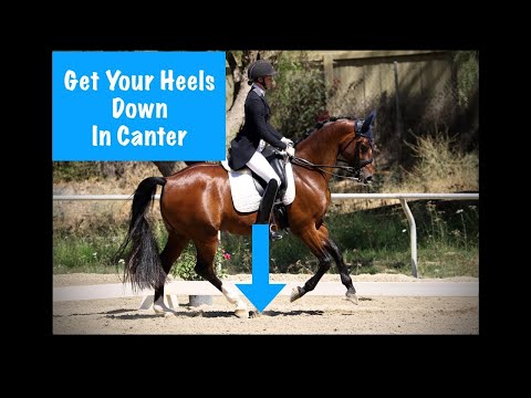 Comment garder votre Etriers En Canter