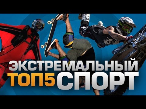 Видео: 8 экстремальных видов спорта для собак