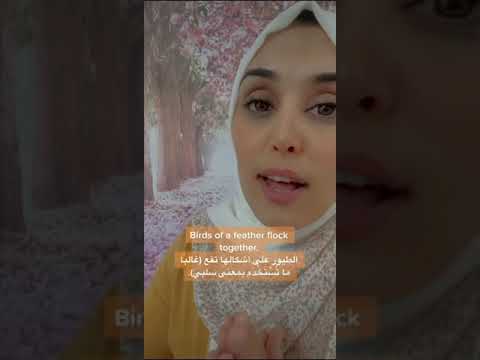       الطيور على اشكالها تقع