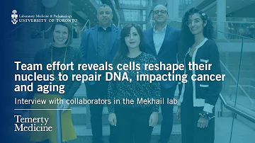 Team effort reveals cells reshape their nucleus to repair DNA: Interview with the Mekhail Lab