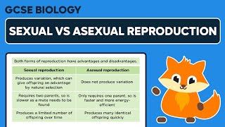 Comparing Sexual & Asexual Reproduction - GCSE Biology