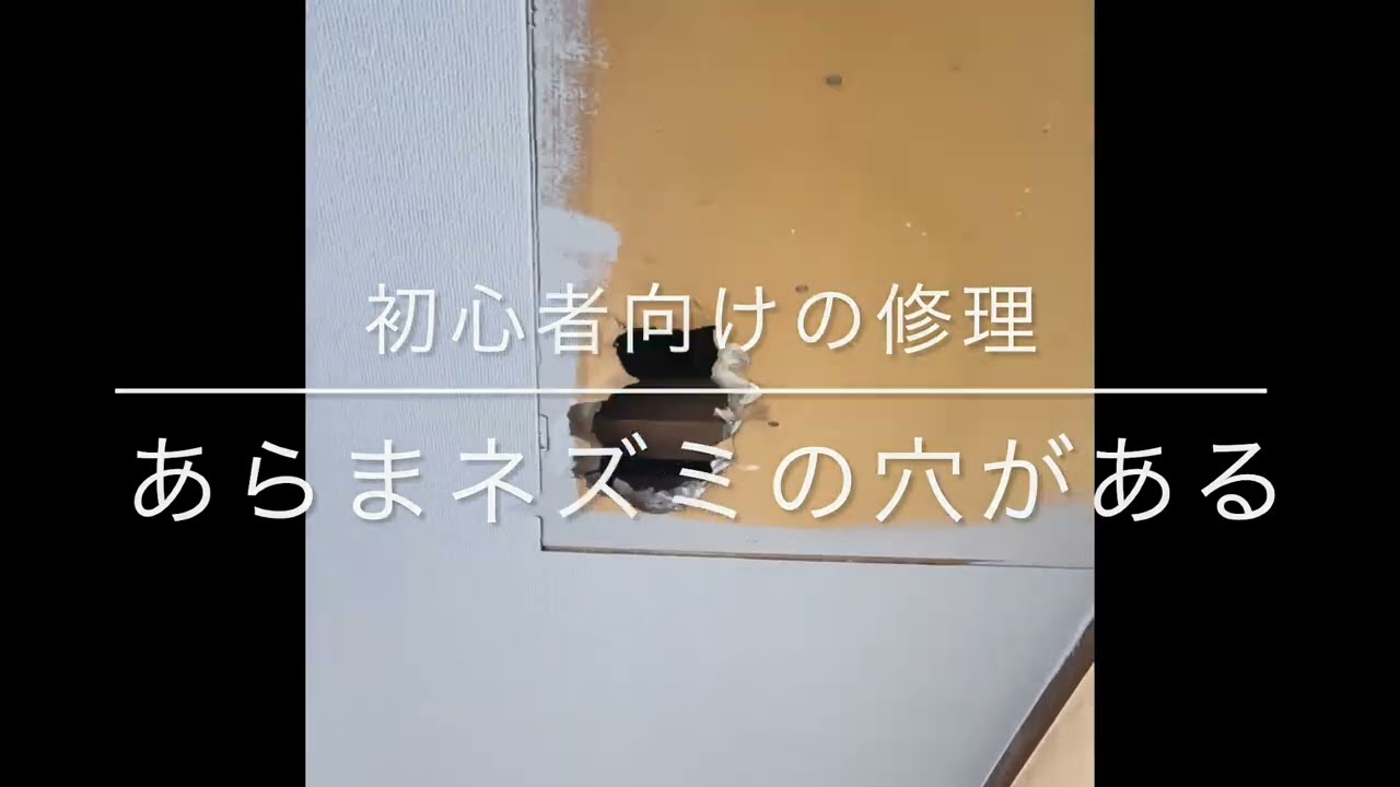 ネズミ穴が！かんたん修理方法