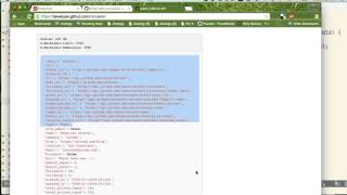 Embernati May 2015 - Ember Data Adapters and Serializers
