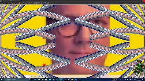 VineMEMZ in a VM Read Description