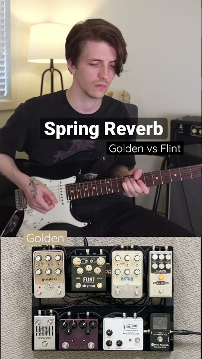 Spring Reverb Faceoff - who does it better? #shorts #reverb #guitarpedals