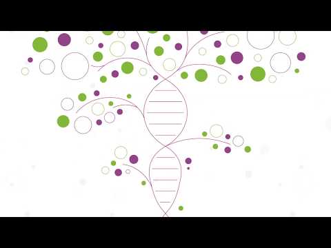Wideo: Klasyfikacja Ludzkich Regionów Genomowych Na Podstawie Eksperymentalnie Określonych Miejsc Wiązania Ponad 100 Czynników Związanych Z Transkrypcją