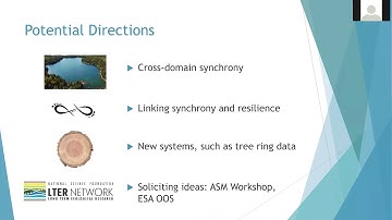 Synchrony Synthesis Group