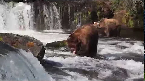 Look into Nature