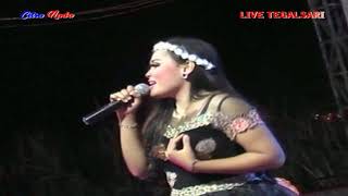 PENGEN DISAYANG - IKA BONDY - CITRA NADA Live TEGALSARI - TEGAL