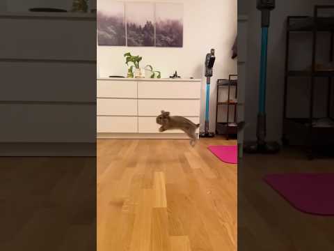 Izkušnja igranja v Rabbit Road Casino: igralnica na spletu za vaše zabavo