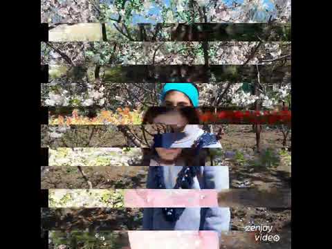 ანკას ფოტოკოლაჟი