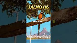 "Oração forte e poderosa do Salmo 116."#fe #deus #jesus #biblia