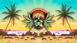Sons Of Paradise - Ganja Girl (New Song 2020 / Lyrics)