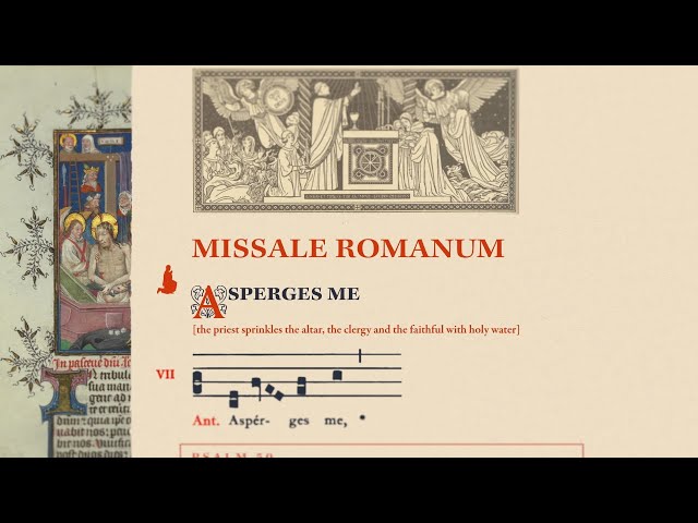 NEW MASS REVISION: How much did the Catholic Mass change after Vatican II? class=