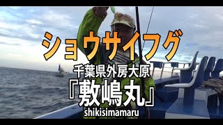 敷嶋丸・千葉県大原港・ショウサイフグ【オフショアマガジン】