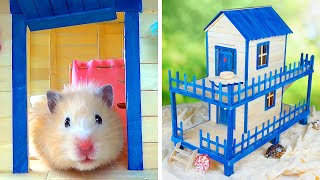 Hamster Stays at Home by The Secret Life of my Hamster 6,616,346 views 4 years ago 3 minutes, 49 seconds