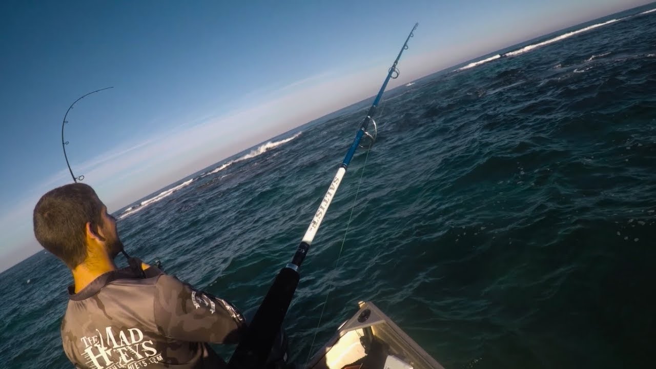 Herring, Squid and Southern Barracuda... Lure Fishing Perth, Western