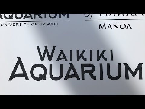 Waikiki Aquarium Tour