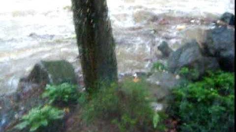 Shellpot Creek leaves its banks and floods the backyard on 7-14-2009