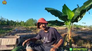 Download Lagu CURHATAN PETANI RANTAU PAK SUGIANTO PERANTU NEKAT ASAL PURWOKERTO MP3 Download Lagu CURHATAN PETANI RANTAU PAK SUGIANTO PERANTU NEKAT ASAL PURWOKERTO MP3