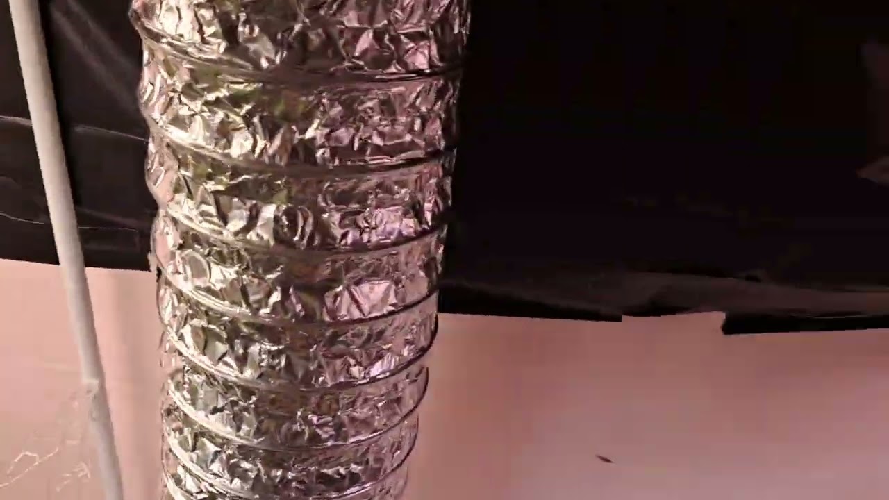 End of week 7 flower for new flower room