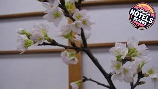 Wakaba Ryokan / Vacation STAY 29366 | Tsuruoka, Japan | Hotel Review 🏩 | Japanese Hotels Reviews