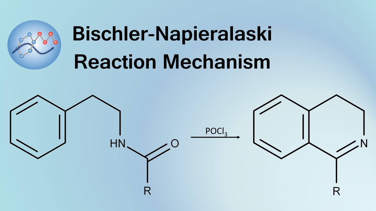 Bischler-Napieralaski Reaction Mechanism | Organic Chemistry