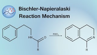 Bischler-Napieralaski Reaction Mechanism | Organic Chemistry