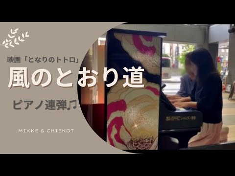 【風のとおり道】映画「となりのトトロ」ピアノ連弾♫ストリートピアノ🎹
