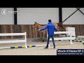 Miracle of Matisse RV Z