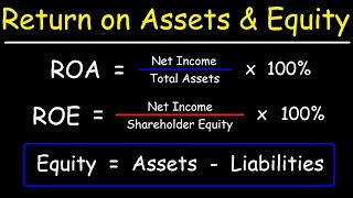 Return on Assets (ROA) and Return on Equity (ROE) - Fundamental Analysis
