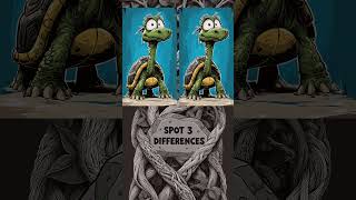 spot 3 differences