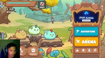 Axie Infinity Beginner