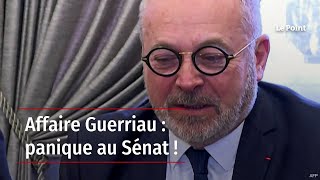 Affaire Guerriau : panique au Sénat !