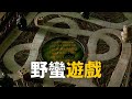 野蛮游戏 電影解說 百年前深埋地下的神秘棋盘 被挖掘后开启了一段长达26年的冒险 野蛮游戏 電影解說 百年前深埋地下的神秘棋盘 被挖掘后开启了一段长达26年的冒险