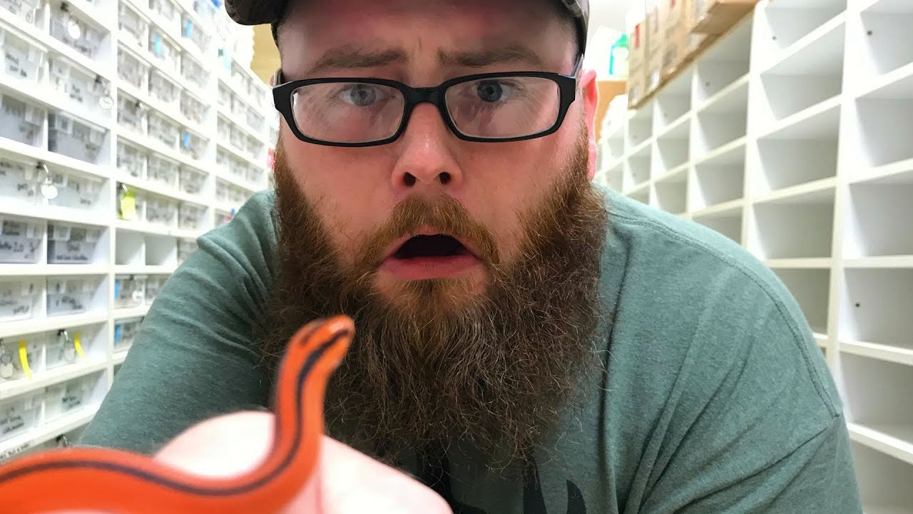 vlogs in spanish ERIC BITTEN BY SNAKE!! WE ARE IN ROME!! | BRIAN BARCZYK